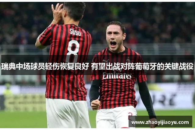 瑞典中场球员轻伤恢复良好 有望出战对阵葡萄牙的关键战役