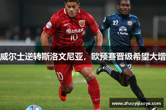 威尔士逆转斯洛文尼亚，欧预赛晋级希望大增
