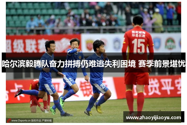 哈尔滨毅腾队奋力拼搏仍难逃失利困境 赛季前景堪忧