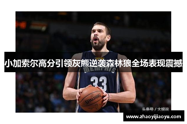 小加索尔高分引领灰熊逆袭森林狼全场表现震撼
