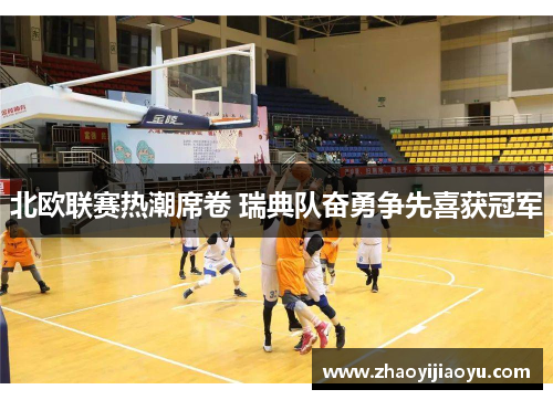 北欧联赛热潮席卷 瑞典队奋勇争先喜获冠军