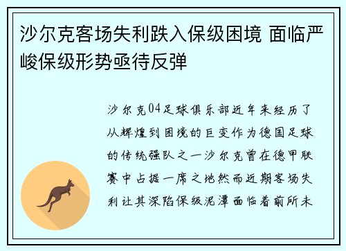 沙尔克客场失利跌入保级困境 面临严峻保级形势亟待反弹