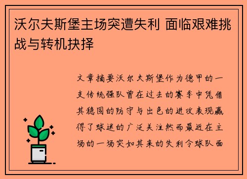 沃尔夫斯堡主场突遭失利 面临艰难挑战与转机抉择