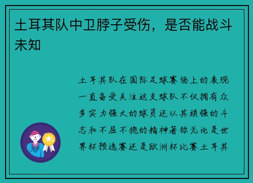土耳其队中卫脖子受伤，是否能战斗未知