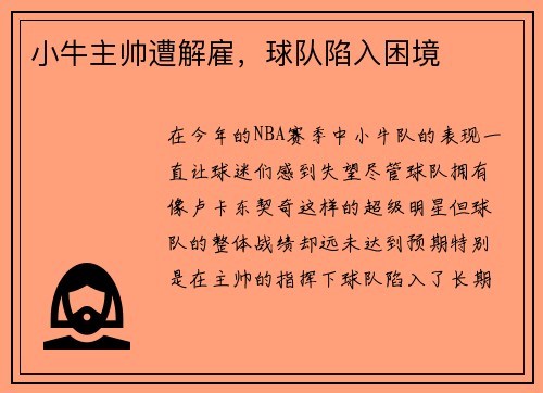 小牛主帅遭解雇，球队陷入困境