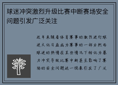 球迷冲突激烈升级比赛中断赛场安全问题引发广泛关注