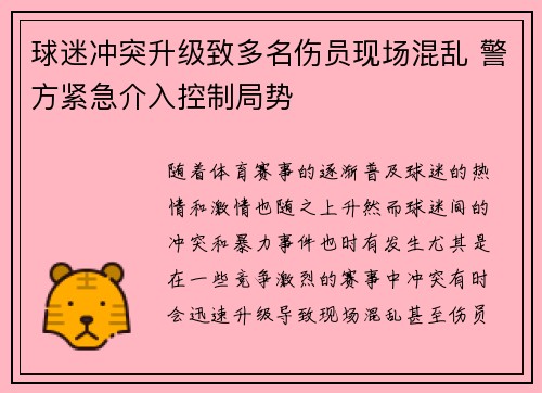 球迷冲突升级致多名伤员现场混乱 警方紧急介入控制局势